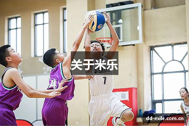 关于米乐